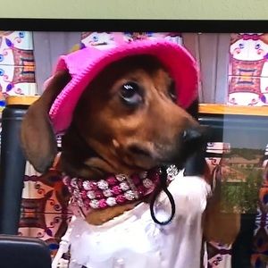 Meet your Posher, Valerie